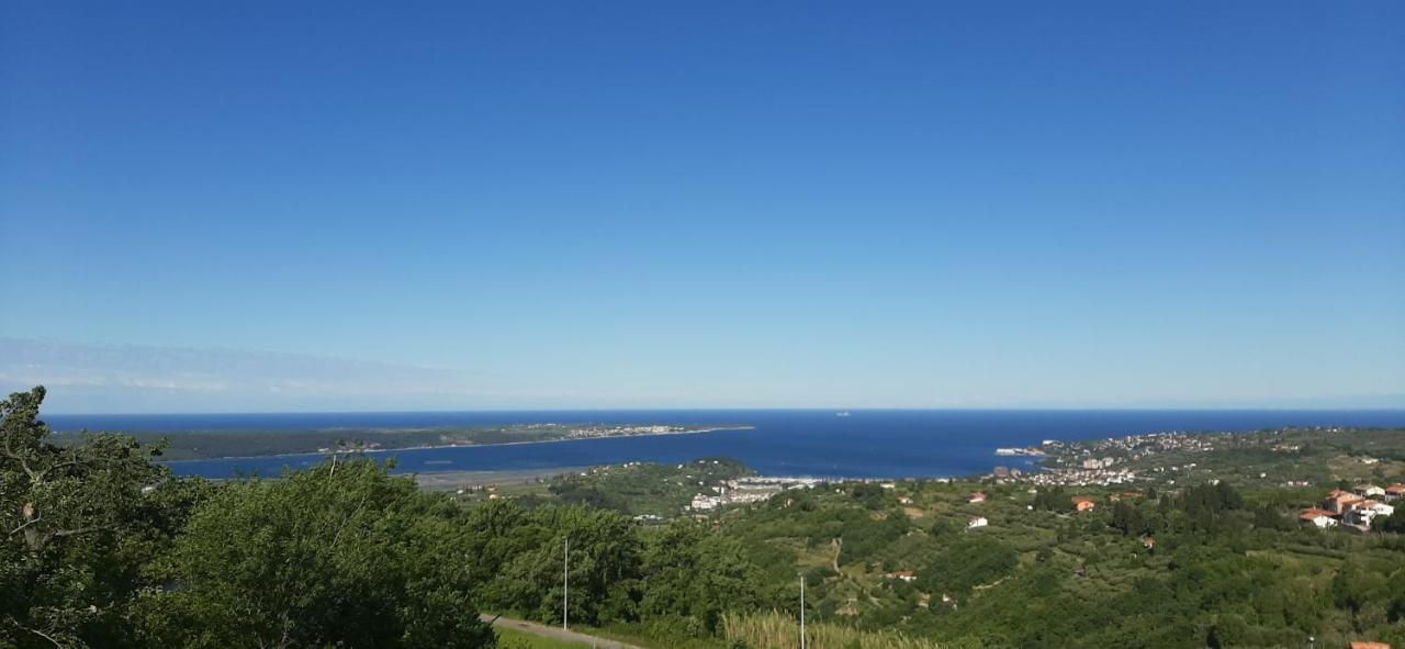 Apartman Seaview Hoja *