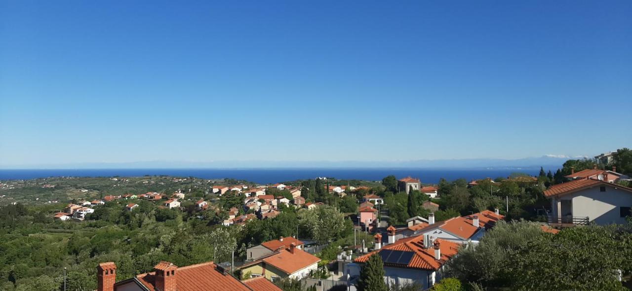 Apartman Seaview Hoja