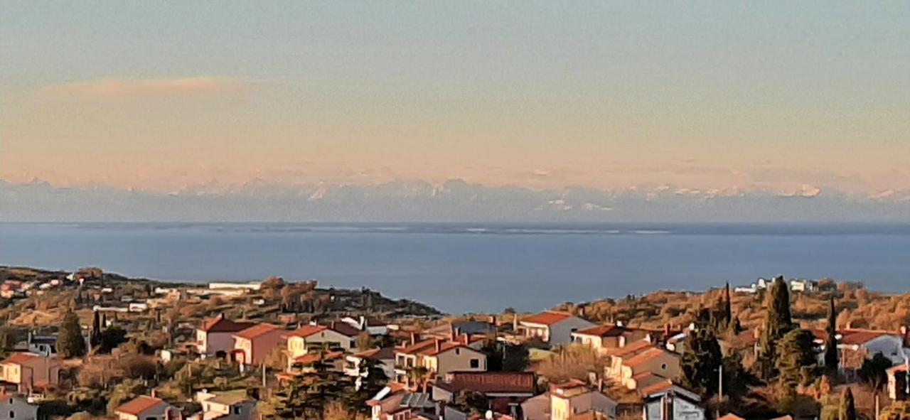 Apartman Seaview Hoja