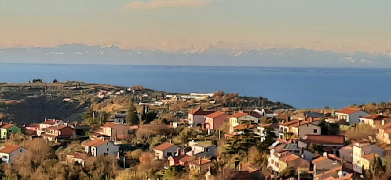 Apartman Seaview Hoja